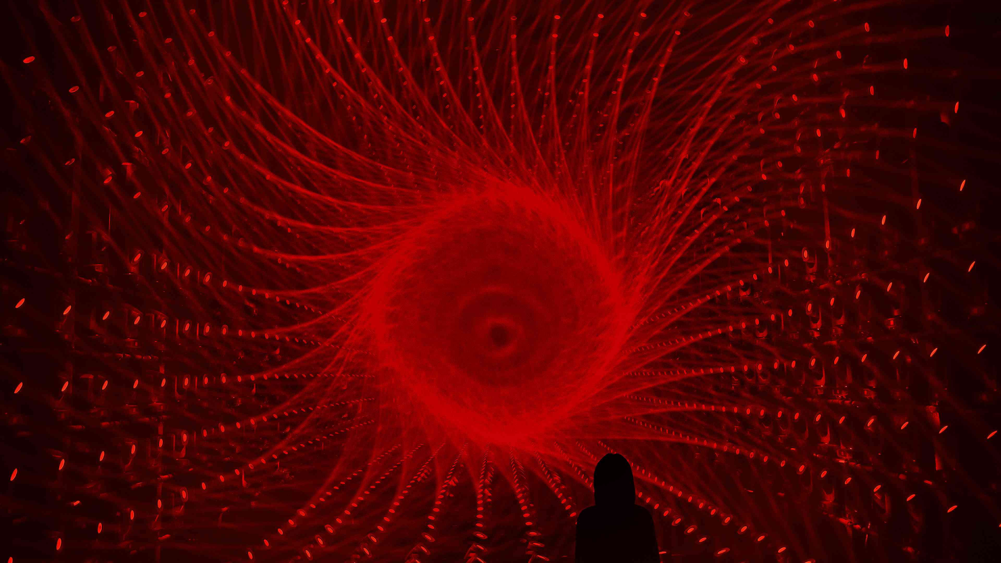 展示テーマ画像