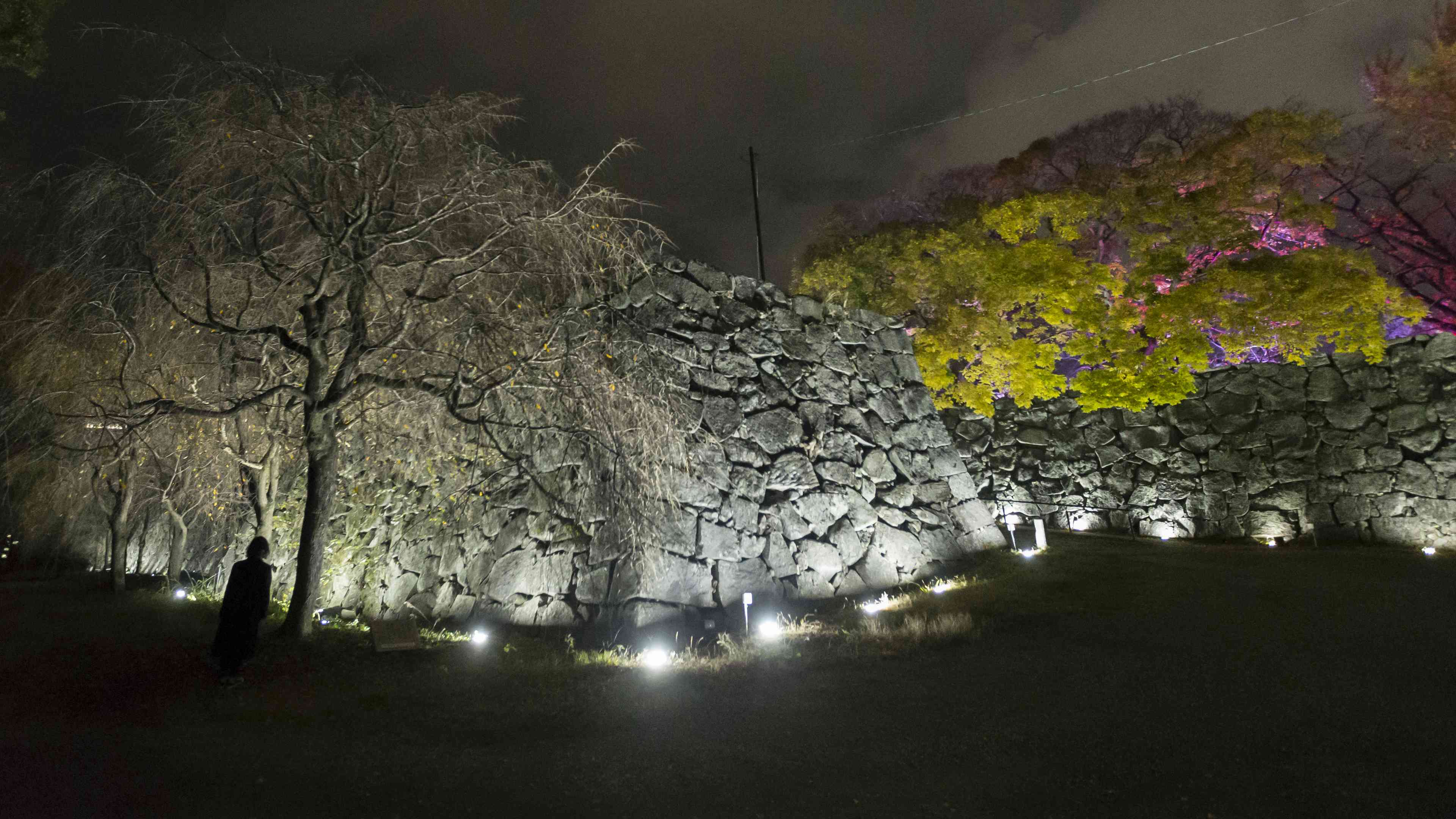 関連画像