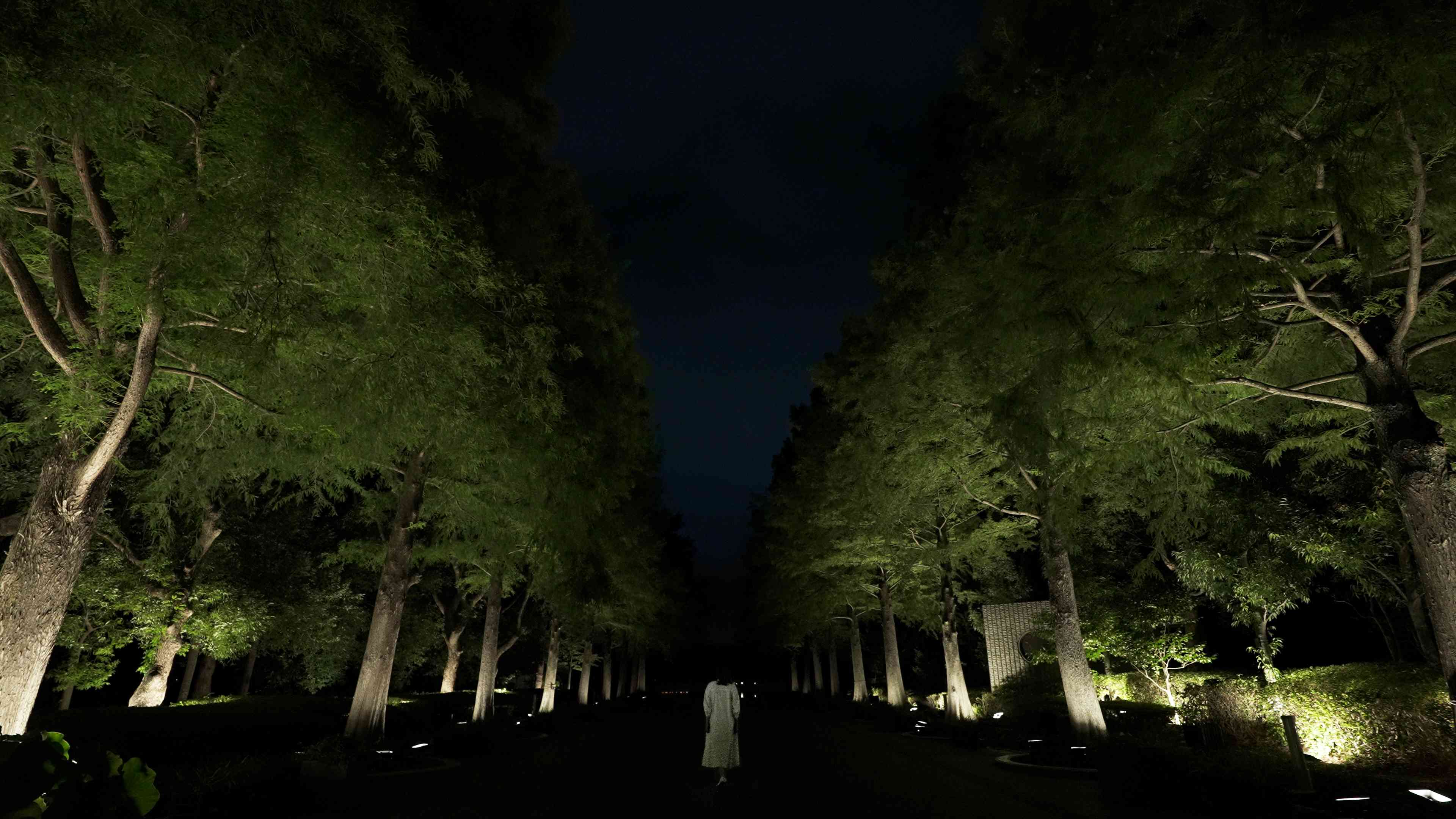 関連画像