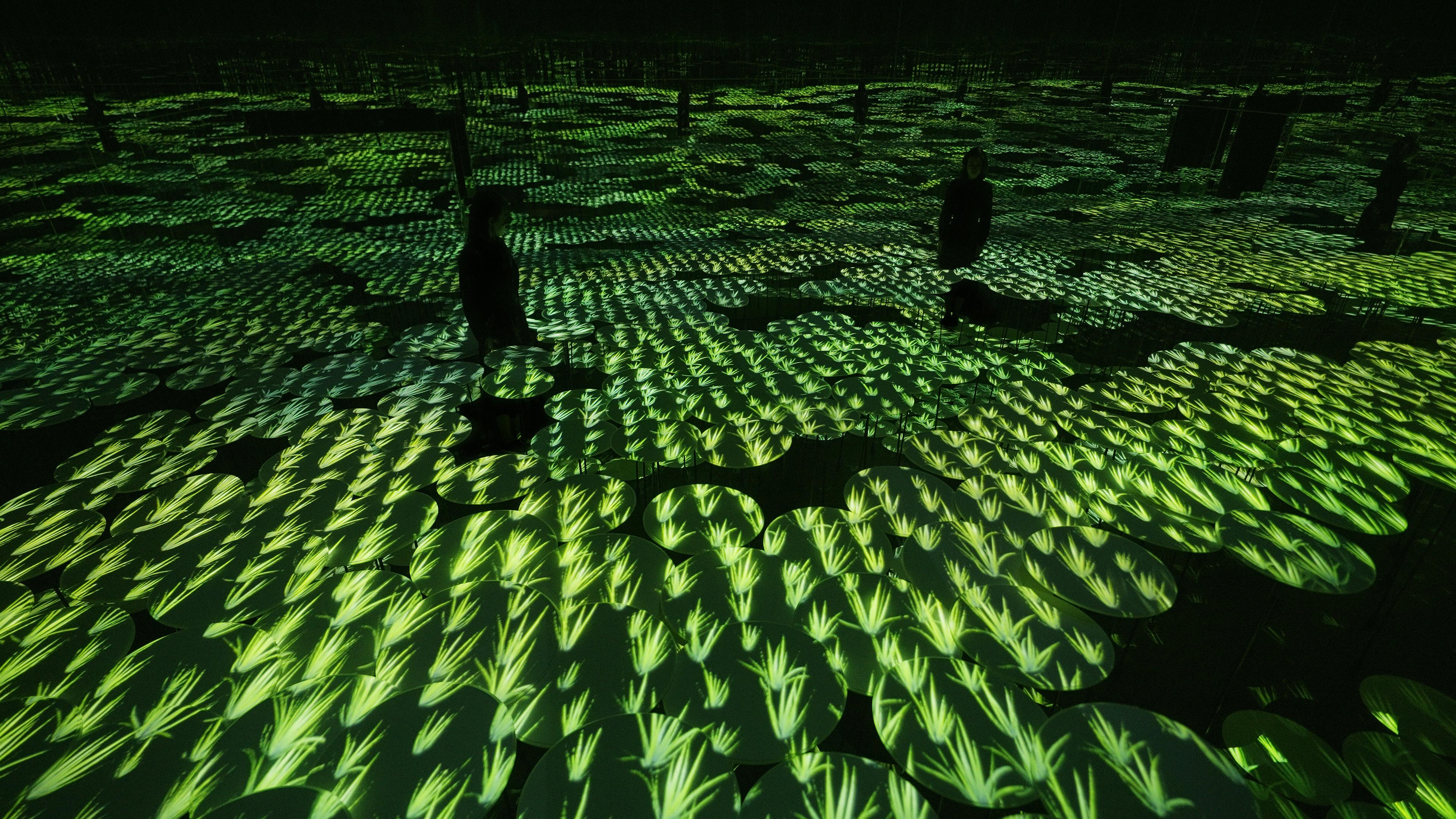 memory-of-topography-teamlab