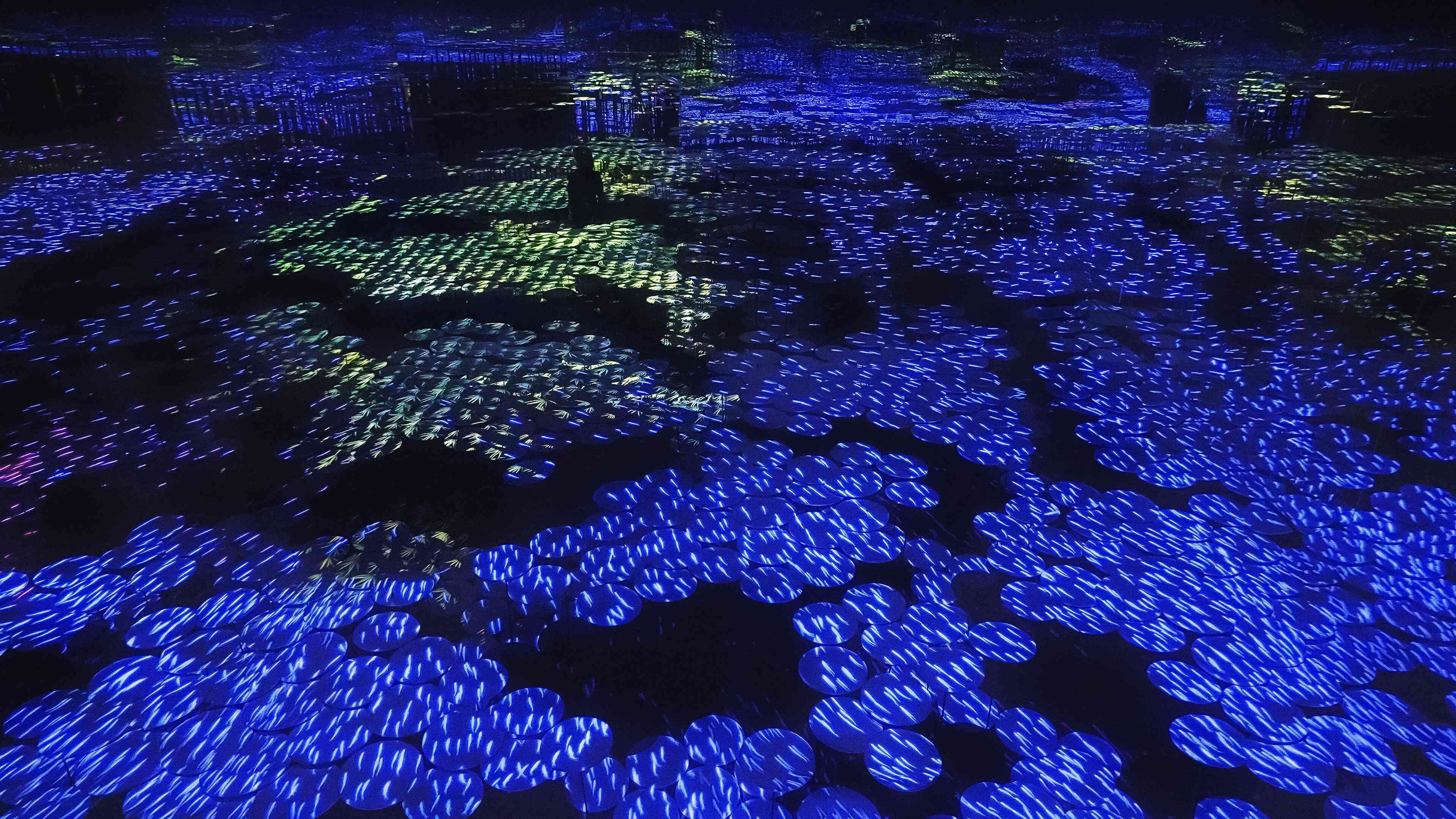 展示テーマ画像