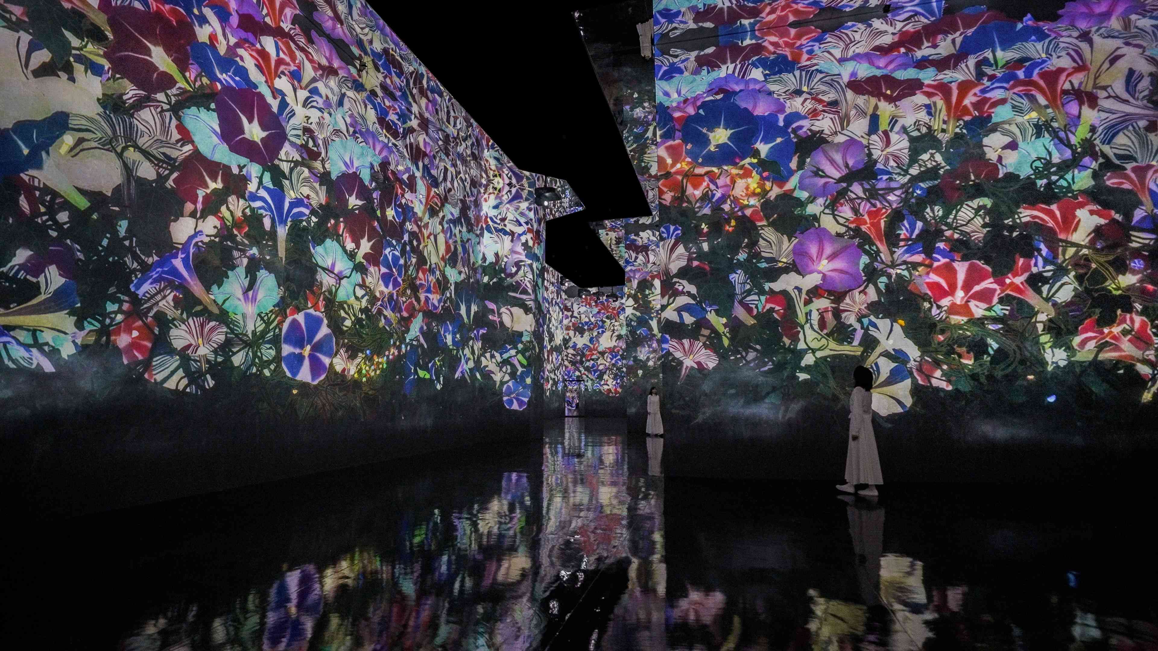 新着作品展示画像