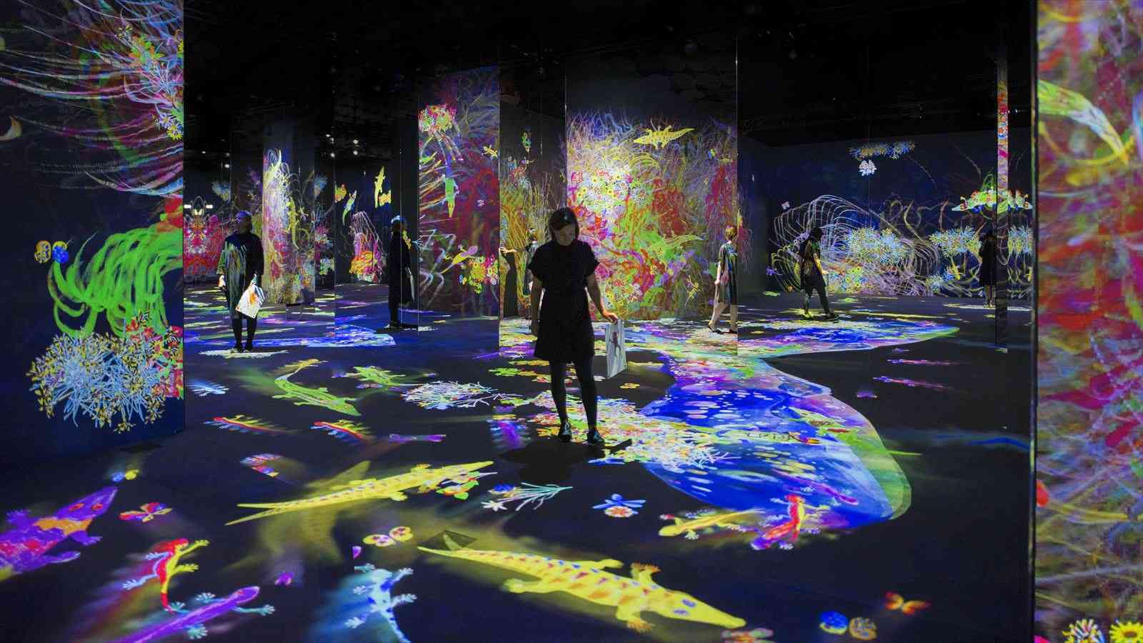 展示テーマ
