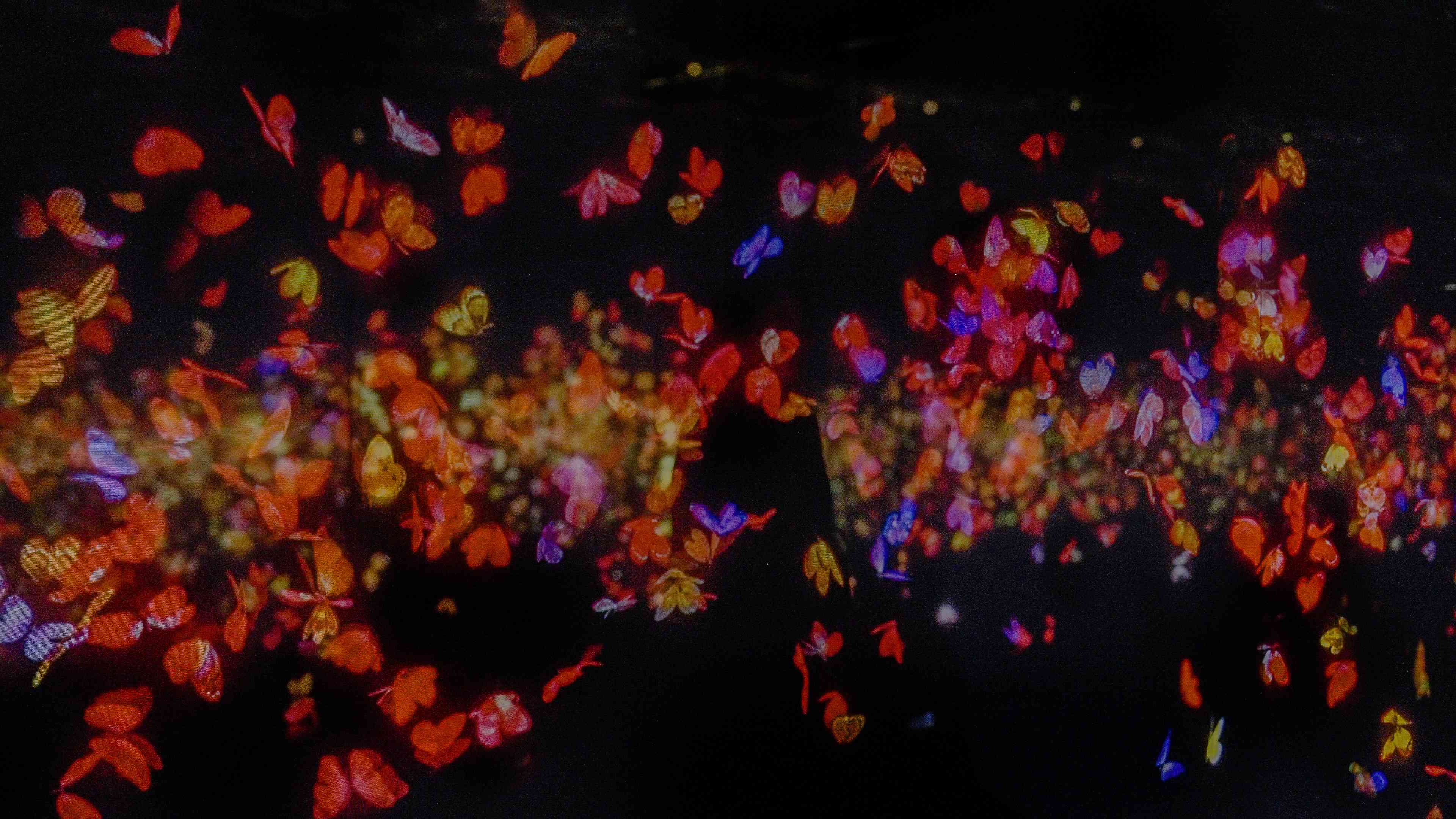 展示テーマ画像