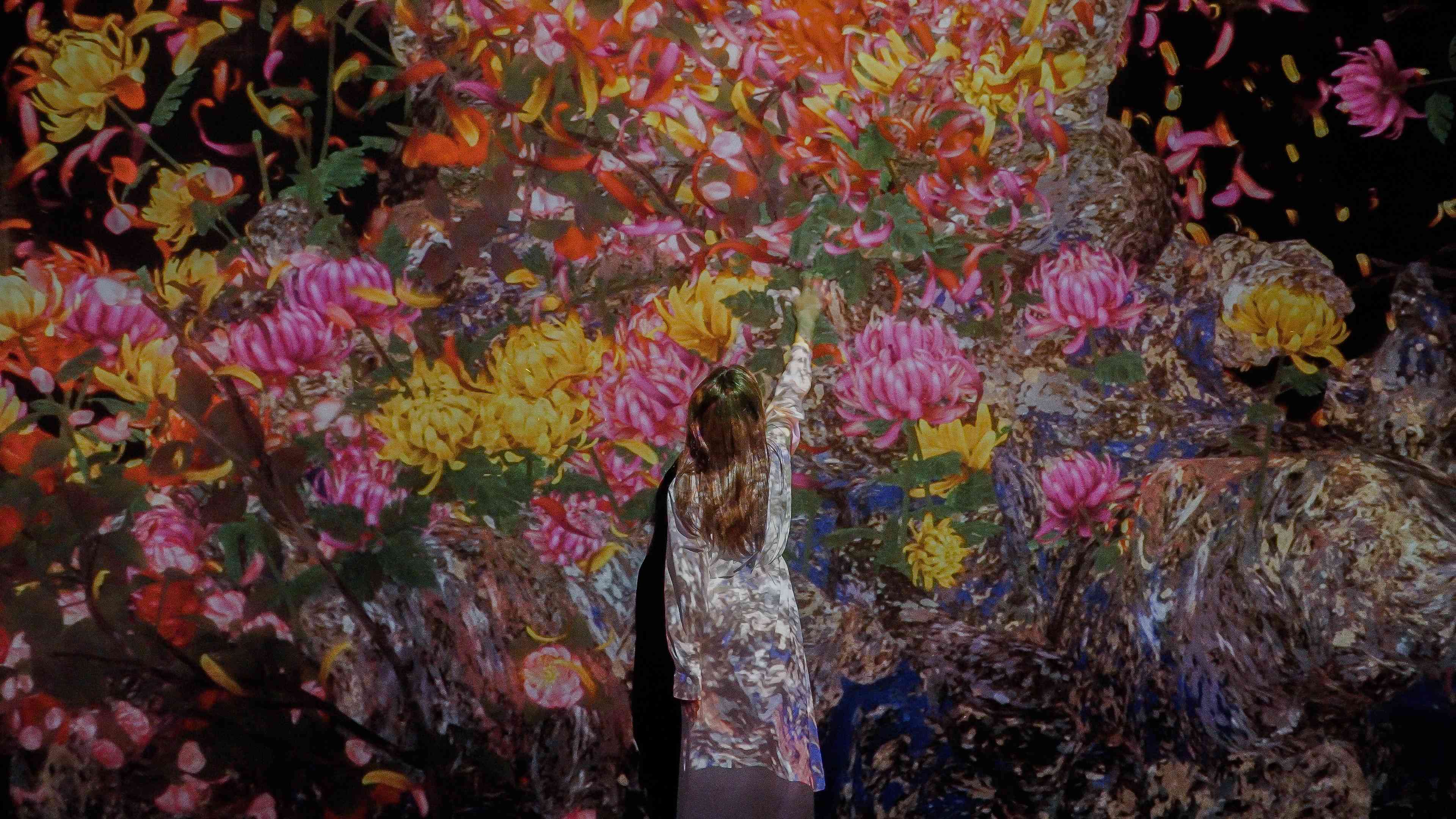 展示画像
