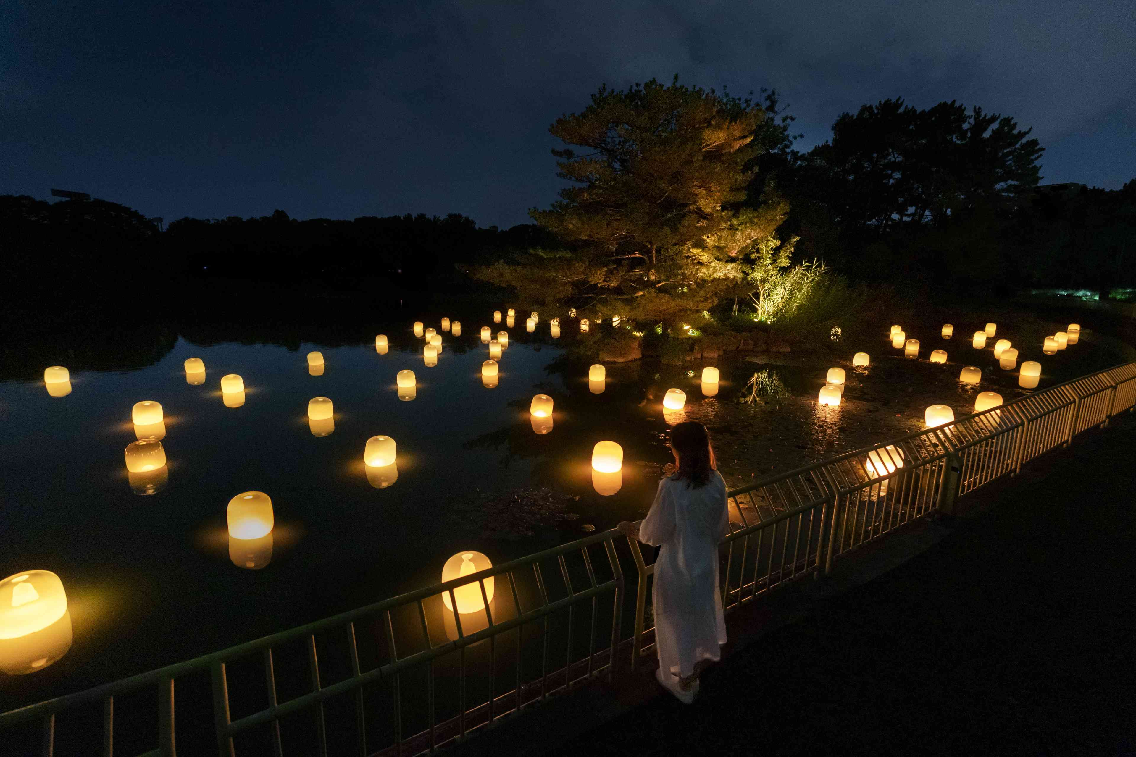 関連画像