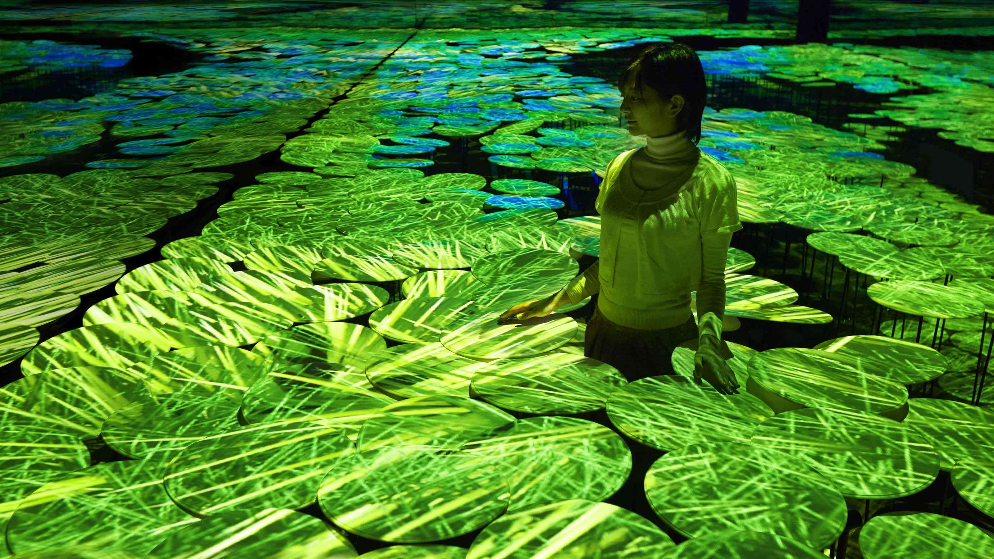 展示画像