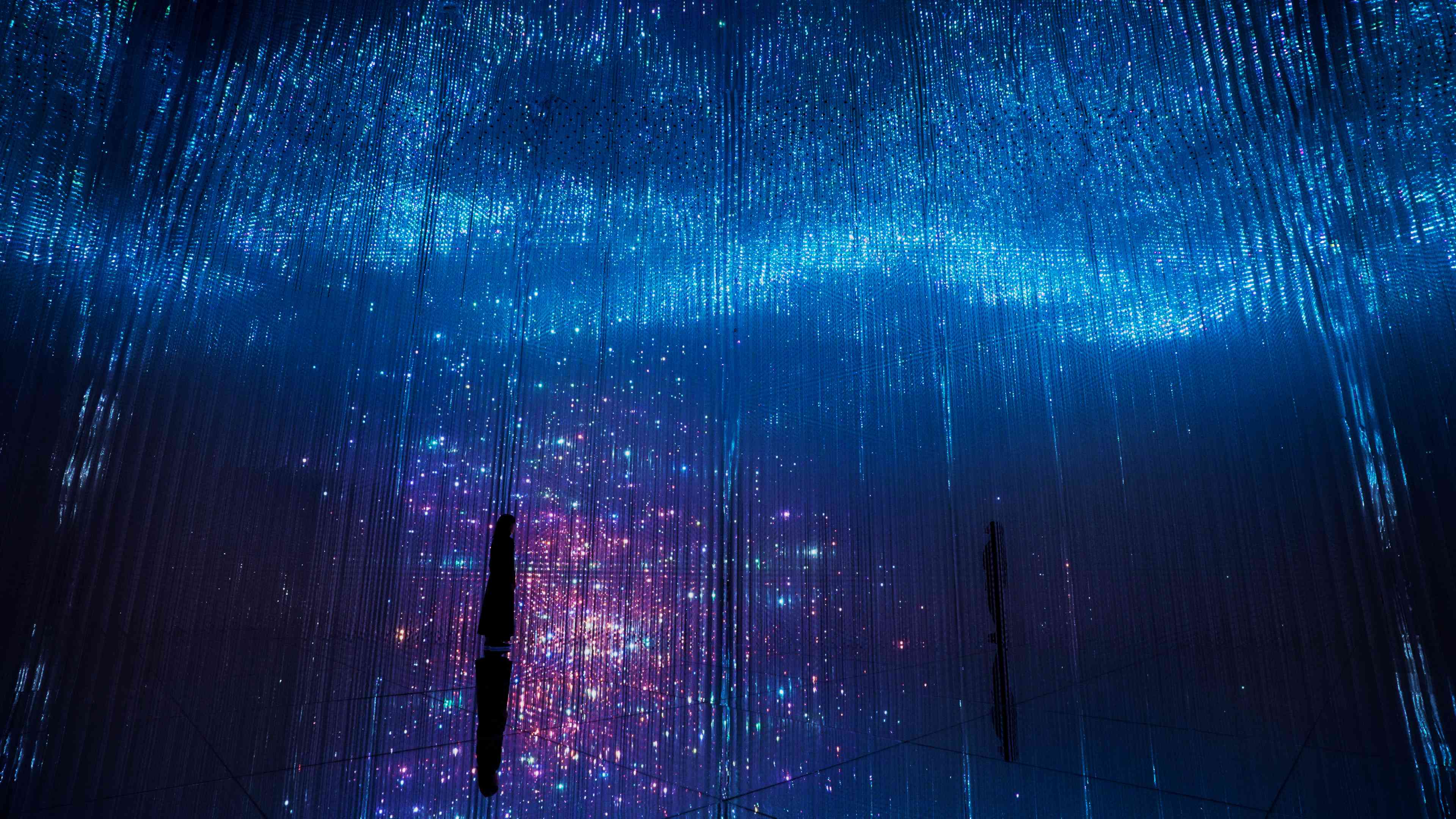 展示テーマ画像