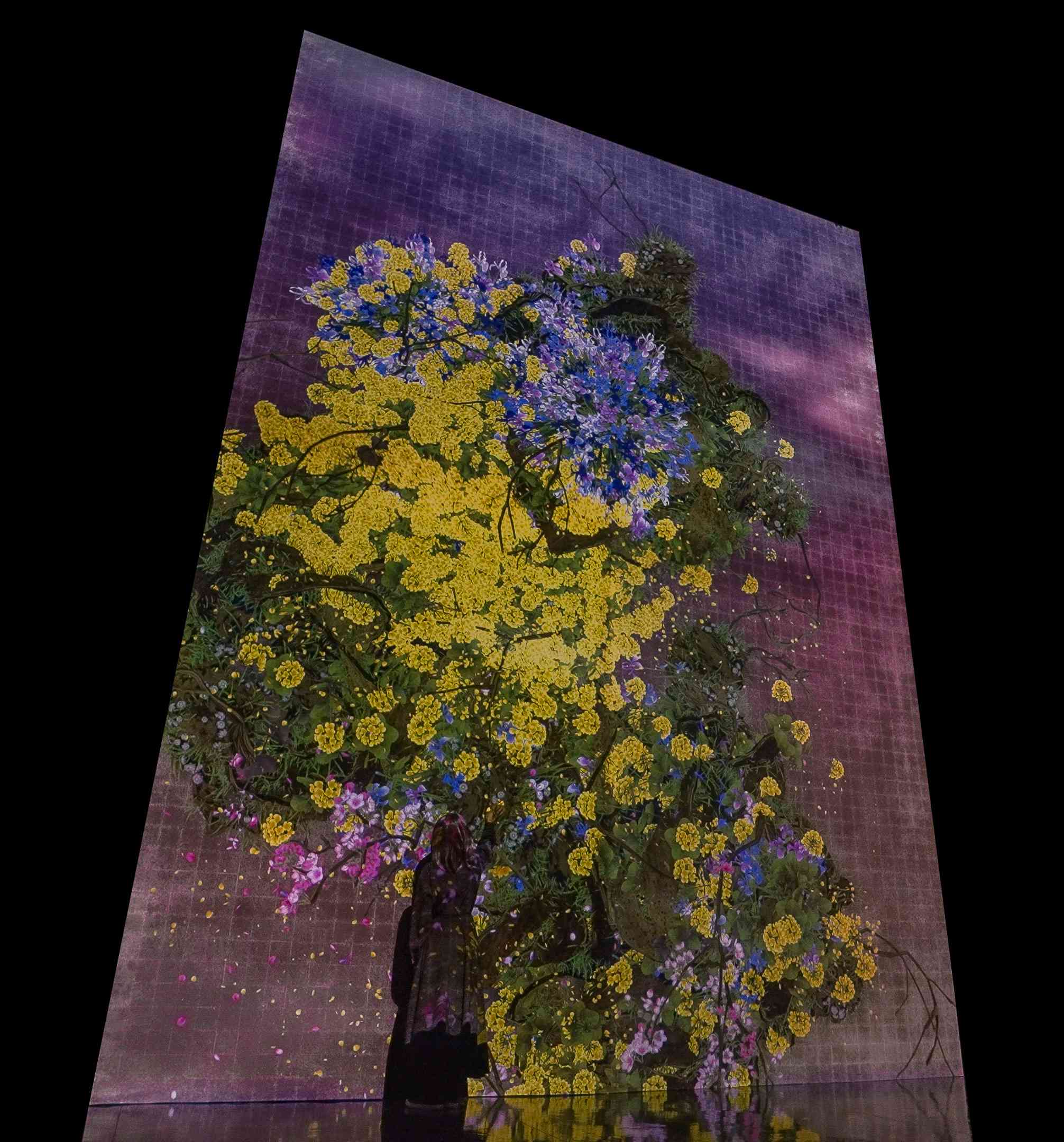 展示テーマ画像