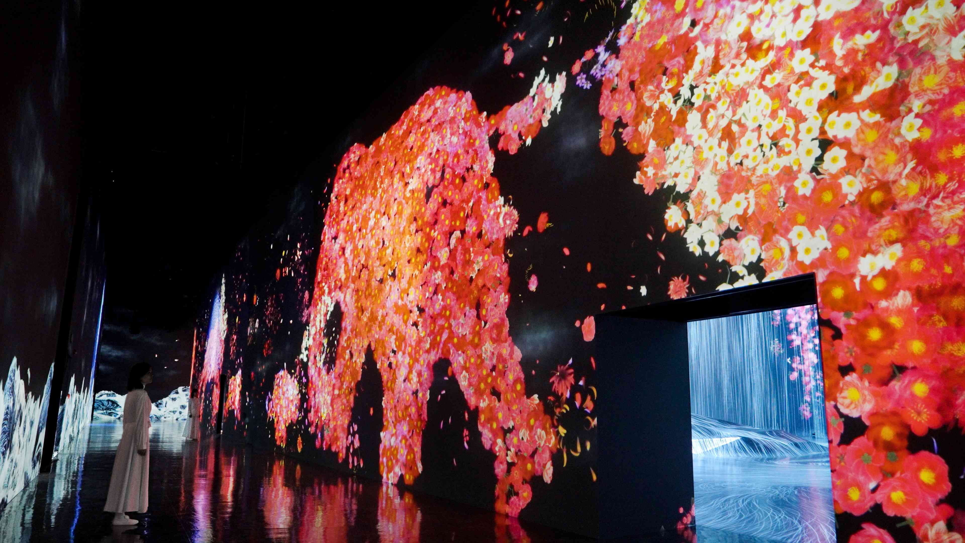 展示テーマ画像