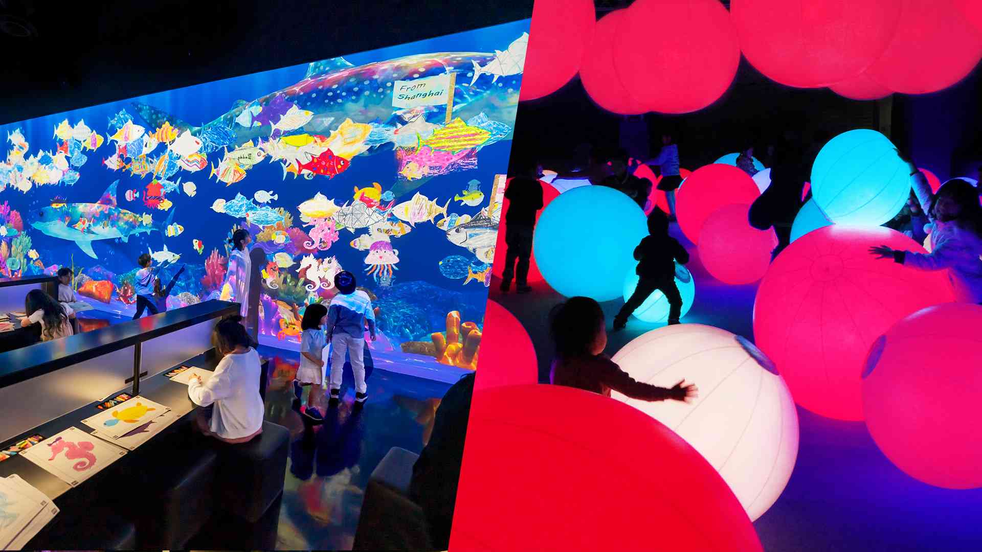 近くの展示画像